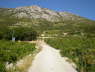 Peljesac