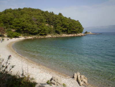 Pl�? bl�zko z�toky Blace