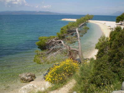 Makarska msto