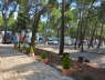 Karavan