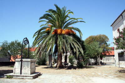 mesto_Biograd na Moru_09