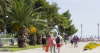 plaz_foto_Drazice_16